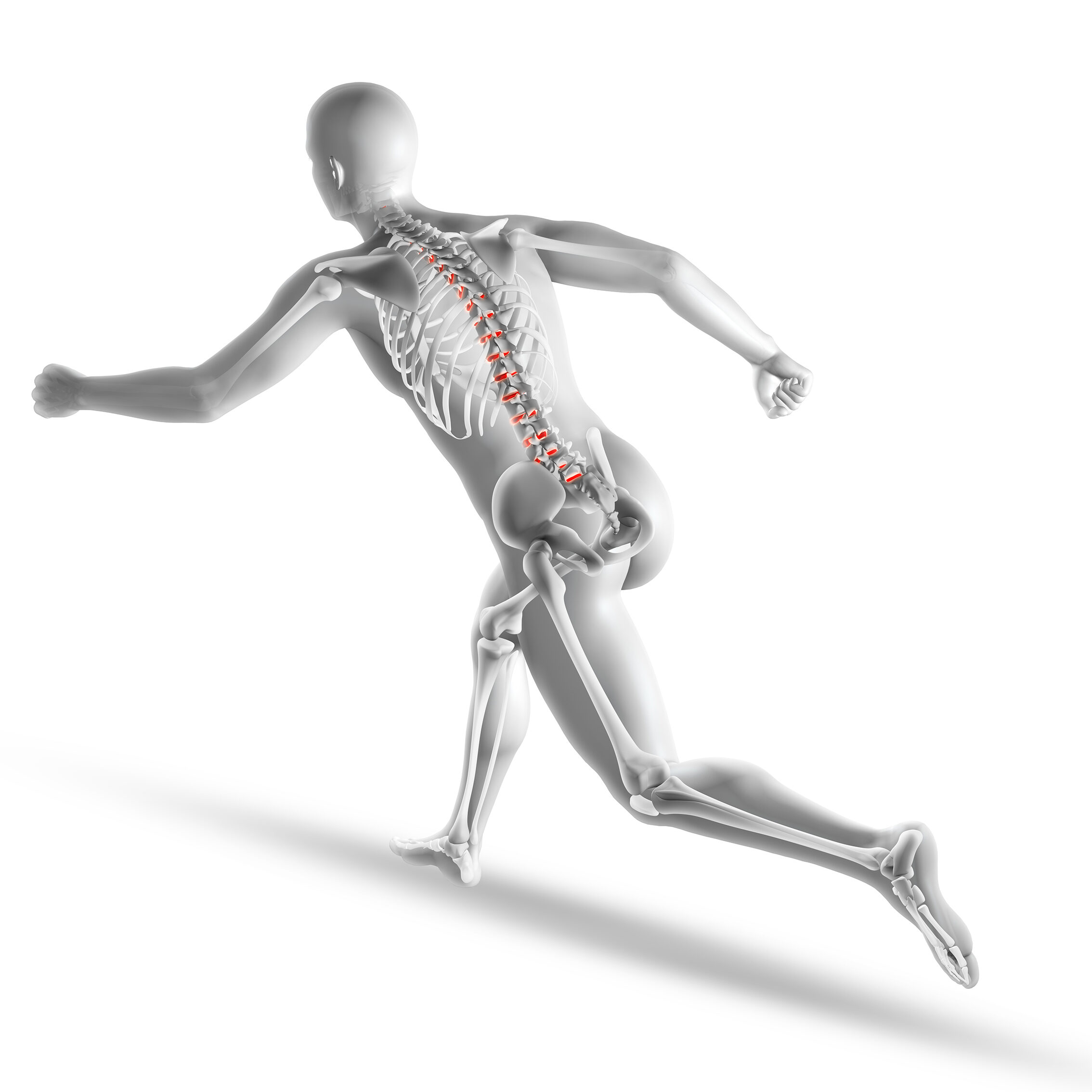 Thierry LE LIVEC -Energéticien - Quimper